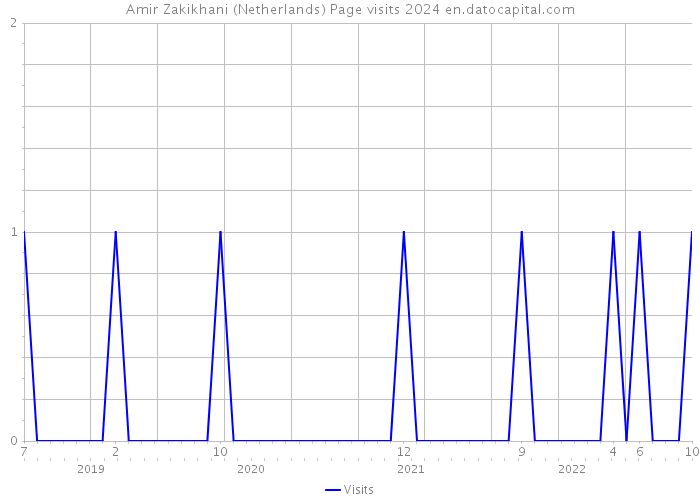 Amir Zakikhani (Netherlands) Page visits 2024 