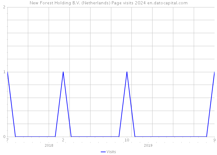 New Forest Holding B.V. (Netherlands) Page visits 2024 
