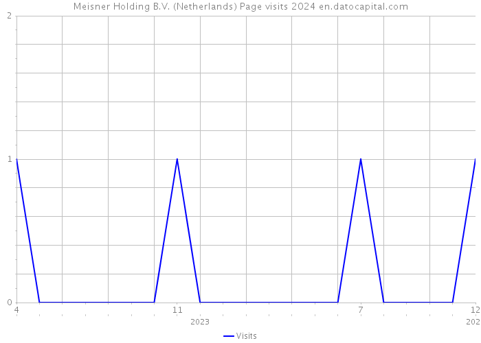 Meisner Holding B.V. (Netherlands) Page visits 2024 