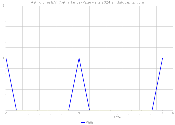 A9 Holding B.V. (Netherlands) Page visits 2024 