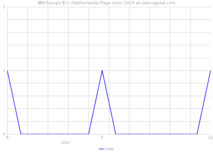 IBM Europe B.V. (Netherlands) Page visits 2024 