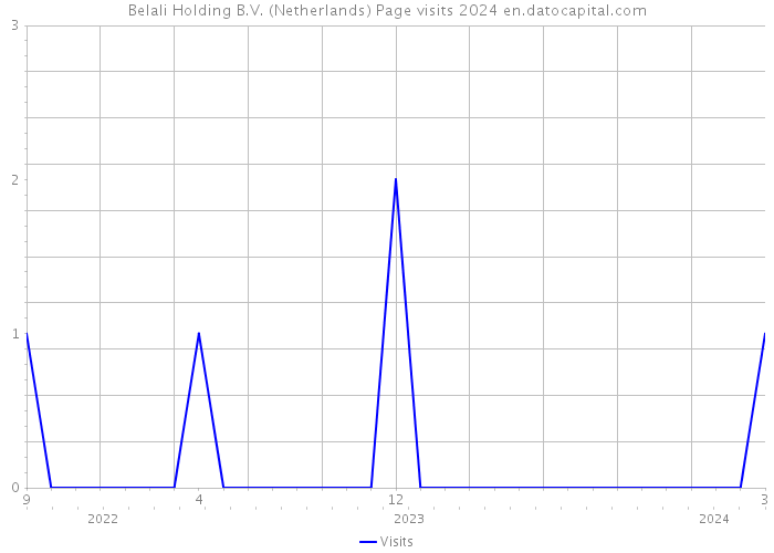 Belali Holding B.V. (Netherlands) Page visits 2024 