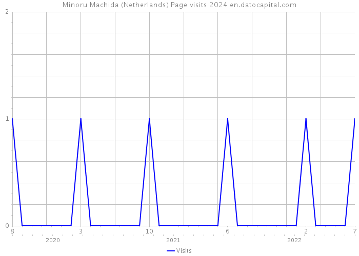 Minoru Machida (Netherlands) Page visits 2024 