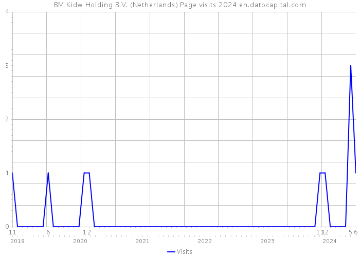 BM Kidw Holding B.V. (Netherlands) Page visits 2024 