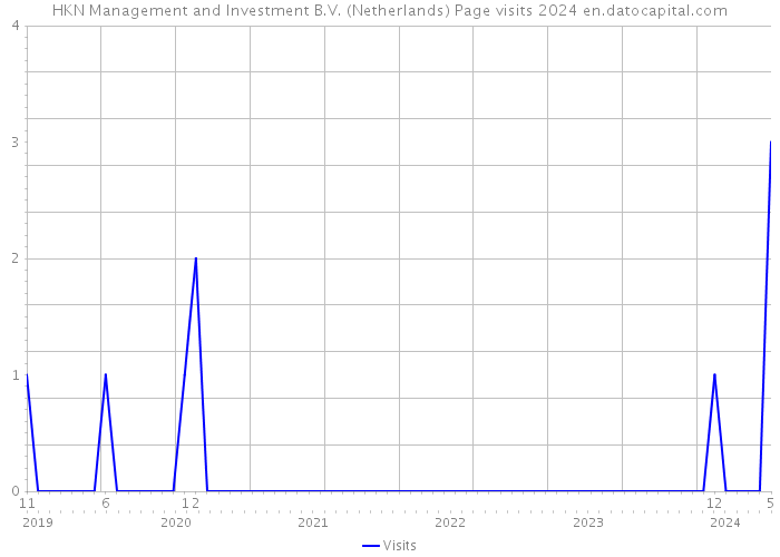 HKN Management and Investment B.V. (Netherlands) Page visits 2024 