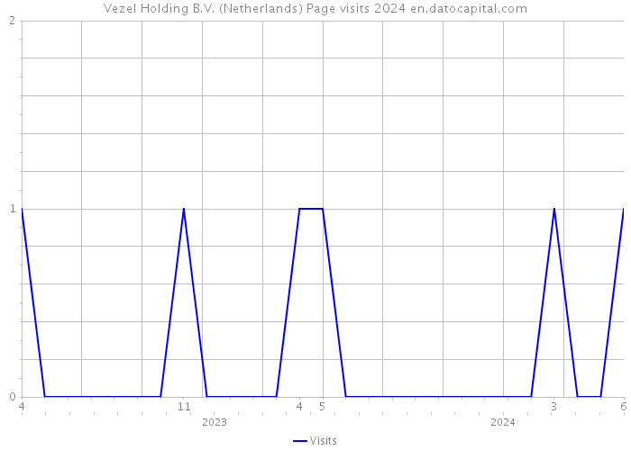 Vezel Holding B.V. (Netherlands) Page visits 2024 