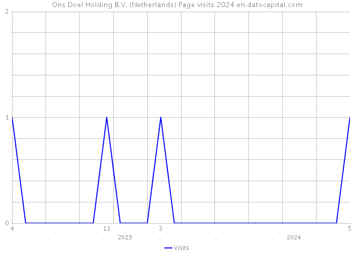 Ons Doel Holding B.V. (Netherlands) Page visits 2024 