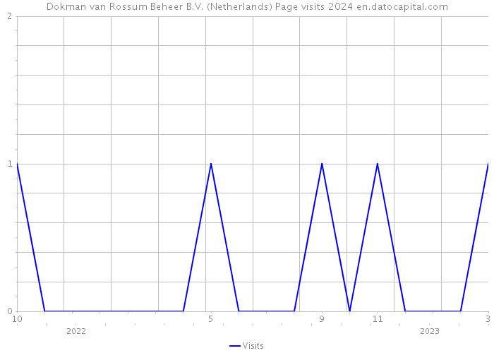 Dokman van Rossum Beheer B.V. (Netherlands) Page visits 2024 