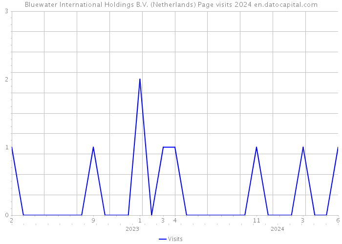 Bluewater International Holdings B.V. (Netherlands) Page visits 2024 