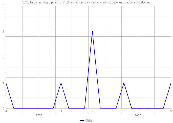 G.W. Broens Vastgoed B.V. (Netherlands) Page visits 2024 