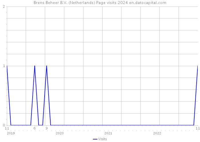 Brens Beheer B.V. (Netherlands) Page visits 2024 