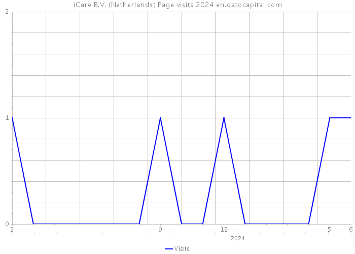 iCare B.V. (Netherlands) Page visits 2024 