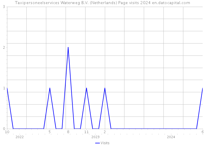 Taxipersoneelservices Waterweg B.V. (Netherlands) Page visits 2024 