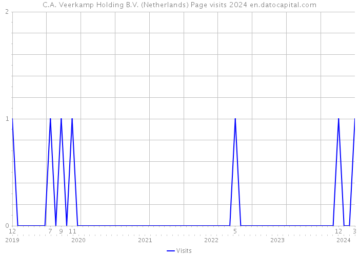 C.A. Veerkamp Holding B.V. (Netherlands) Page visits 2024 