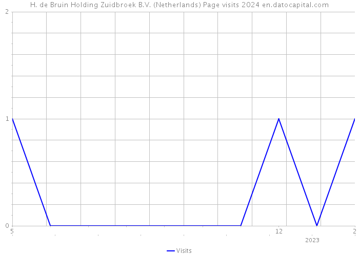 H. de Bruin Holding Zuidbroek B.V. (Netherlands) Page visits 2024 