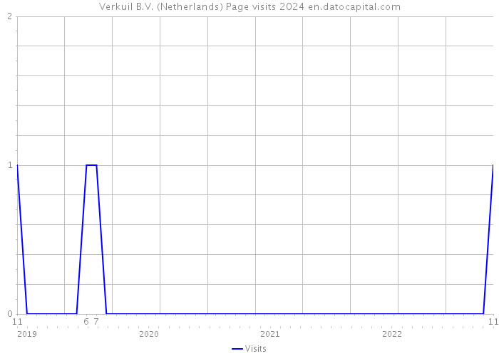 Verkuil B.V. (Netherlands) Page visits 2024 