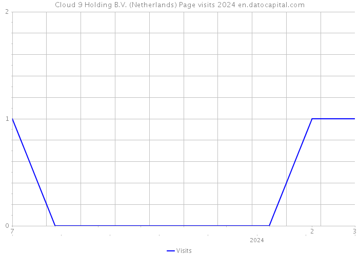 Cloud 9 Holding B.V. (Netherlands) Page visits 2024 