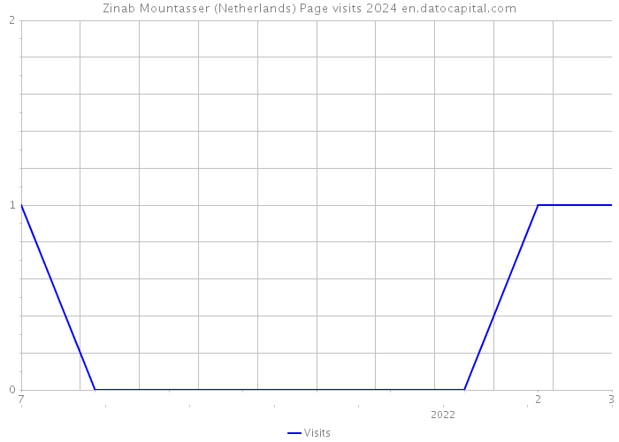 Zinab Mountasser (Netherlands) Page visits 2024 