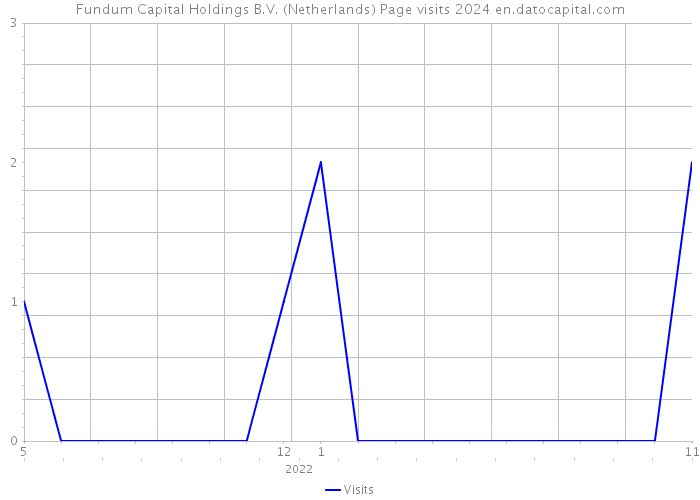Fundum Capital Holdings B.V. (Netherlands) Page visits 2024 