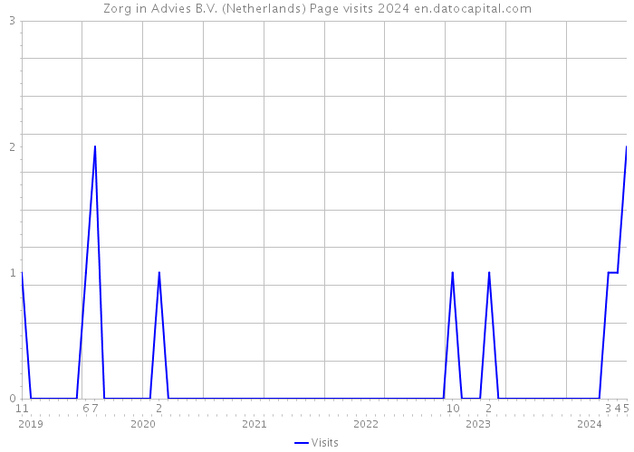 Zorg in Advies B.V. (Netherlands) Page visits 2024 