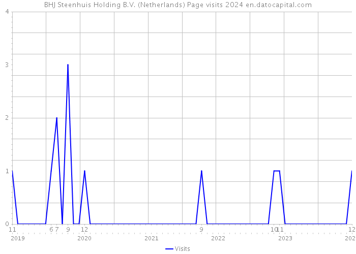 BHJ Steenhuis Holding B.V. (Netherlands) Page visits 2024 