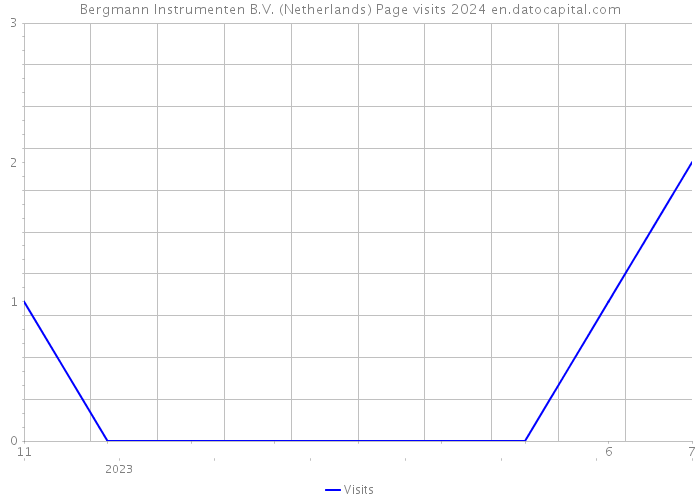 Bergmann Instrumenten B.V. (Netherlands) Page visits 2024 