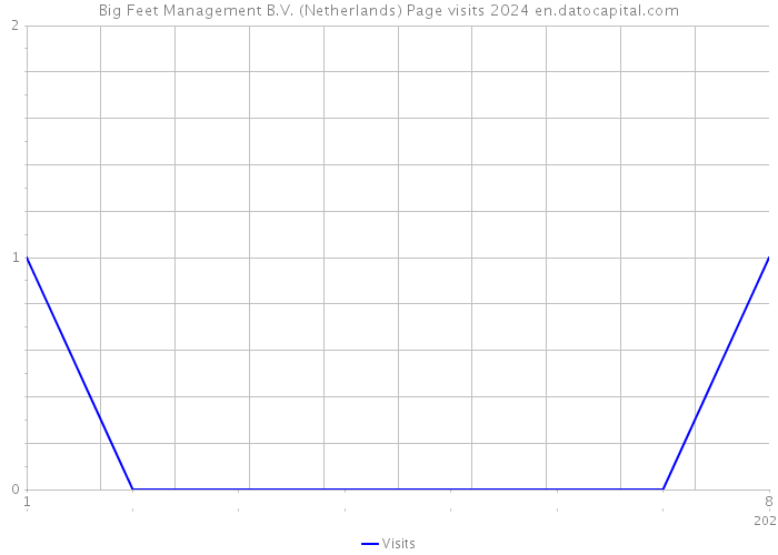 Big Feet Management B.V. (Netherlands) Page visits 2024 