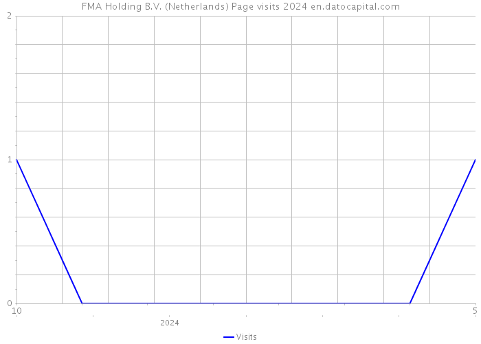 FMA Holding B.V. (Netherlands) Page visits 2024 
