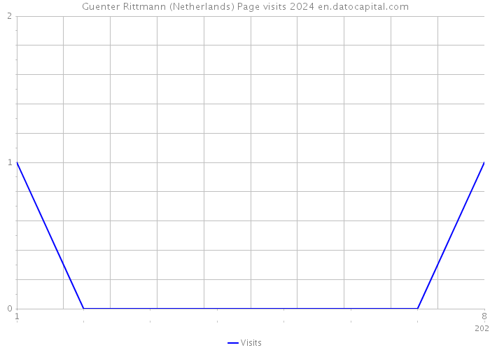 Guenter Rittmann (Netherlands) Page visits 2024 