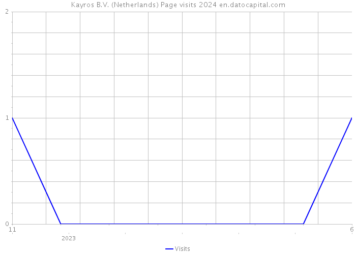 Kayros B.V. (Netherlands) Page visits 2024 