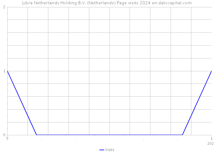 Libra Netherlands Holding B.V. (Netherlands) Page visits 2024 