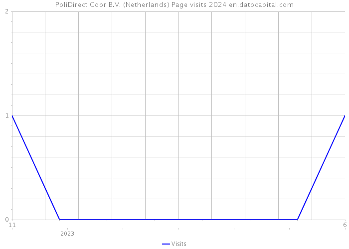 PoliDirect Goor B.V. (Netherlands) Page visits 2024 
