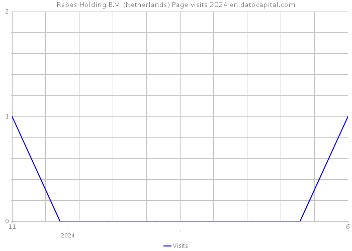 Rebes Holding B.V. (Netherlands) Page visits 2024 