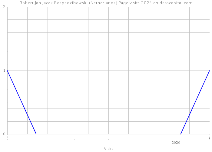 Robert Jan Jacek Rospedzihowski (Netherlands) Page visits 2024 