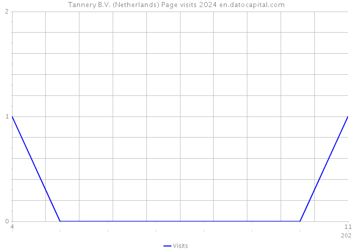 Tannery B.V. (Netherlands) Page visits 2024 