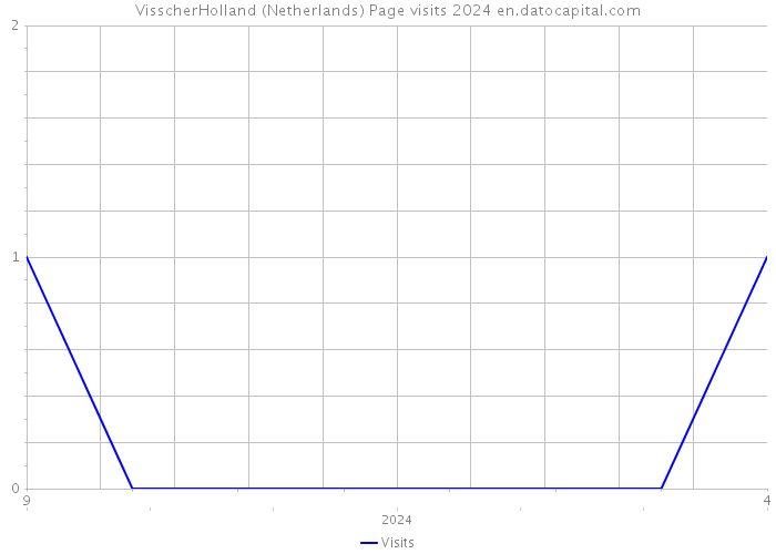 VisscherHolland (Netherlands) Page visits 2024 