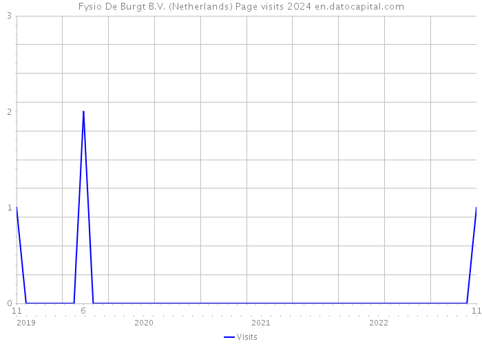 Fysio De Burgt B.V. (Netherlands) Page visits 2024 