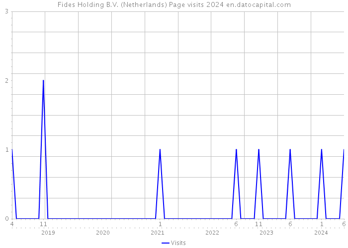 Fides Holding B.V. (Netherlands) Page visits 2024 