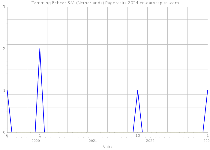 Temming Beheer B.V. (Netherlands) Page visits 2024 