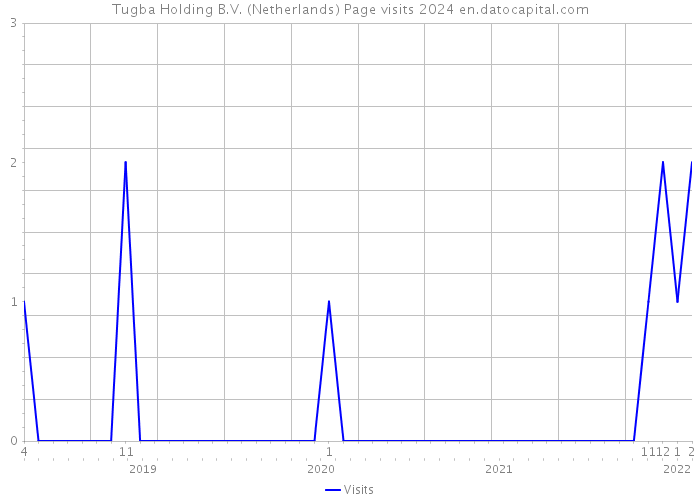 Tugba Holding B.V. (Netherlands) Page visits 2024 