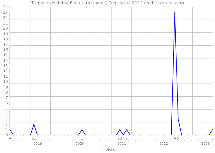 Tugba Ay Holding B.V. (Netherlands) Page visits 2024 