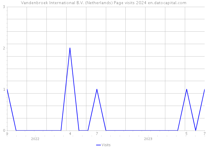 Vandenbroek International B.V. (Netherlands) Page visits 2024 