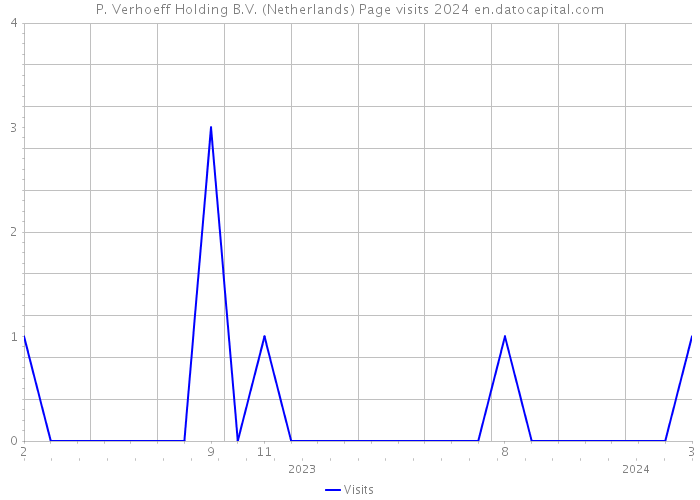 P. Verhoeff Holding B.V. (Netherlands) Page visits 2024 