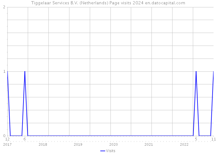 Tiggelaar Services B.V. (Netherlands) Page visits 2024 