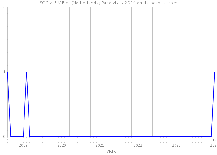 SOCIA B.V.B.A. (Netherlands) Page visits 2024 