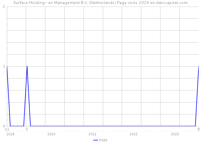 Surface Holding- en Management B.V. (Netherlands) Page visits 2024 