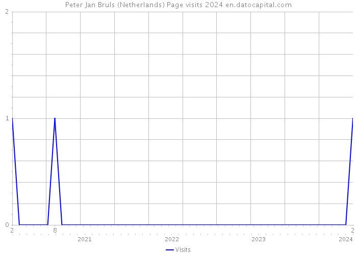 Peter Jan Bruls (Netherlands) Page visits 2024 