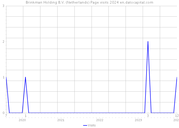 Brinkman Holding B.V. (Netherlands) Page visits 2024 