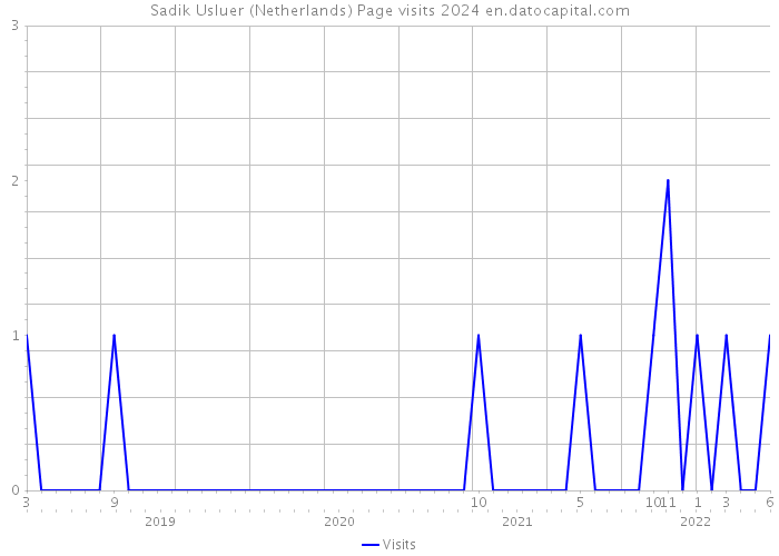 Sadik Usluer (Netherlands) Page visits 2024 