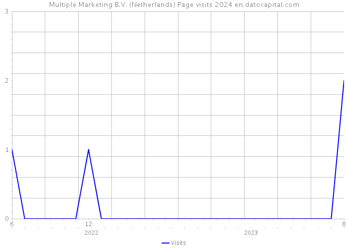 Multiple Marketing B.V. (Netherlands) Page visits 2024 